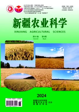 新疆农业科学封面